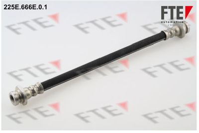 Тормозной шланг FTE 9240393