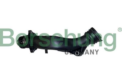 Термостат, охлаждающая жидкость Borsehung B10560