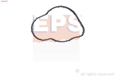 Прокладка, термостат EPS 1.890.735