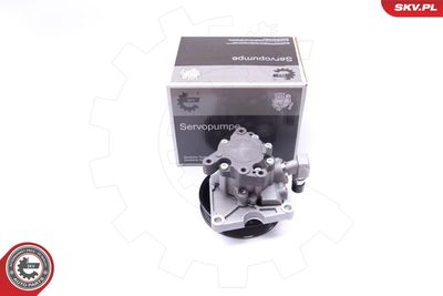 Hidrosūknis, Stūres iekārta ESEN SKV 10SKV270