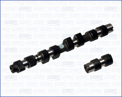 Sadales vārpsta AJUSA 93076500