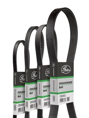 Клиновой ремень GATES CB0001