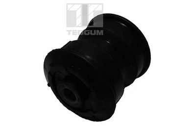 Piekare, Lokšņu atspere TEDGUM 00411517