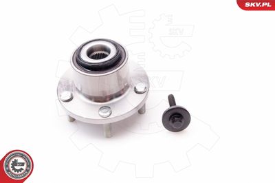 Комплект подшипника ступицы колеса ESEN SKV 29SKV021