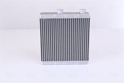 Siltummainis, Salona apsilde NISSENS 707173