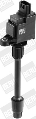 Aizdedzes spole BorgWarner (BERU) ZSE078