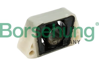 Piekare, Radiators BORSEHUNG B11360