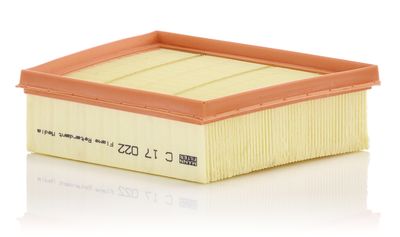 Воздушный фильтр MANN-FILTER C 17 022