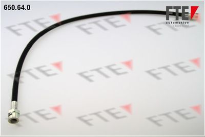 Тормозной шланг FTE 9741066