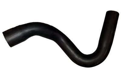 Pūtes sistēmas gaisa caurule BUGIAD 88684