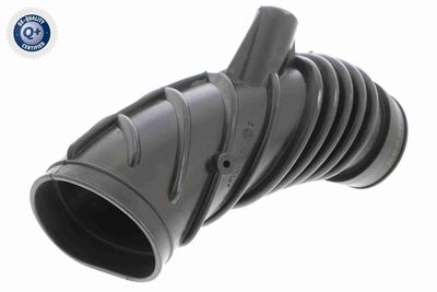 Gaisa tvērēja caurule, Gaisa filtrs VAICO V20-2134