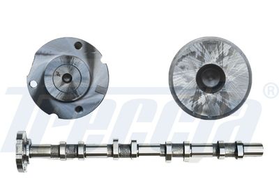 Sadales vārpsta FRECCIA CM05-2172
