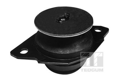 Piekare, Pārnesumkārbas turētājs TEDGUM 00725600