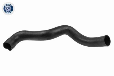 Трубка нагнетаемого воздуха VAICO V24-0693