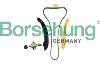 Комплект цели привода распредвала BORSEHUNG B18857