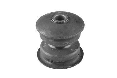 Piekare, Lokšņu atspere TEDGUM 00222826