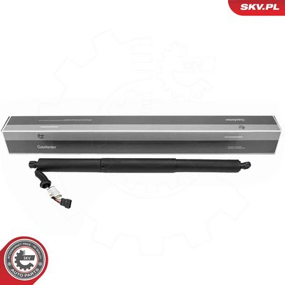 Электромотор, задняя дверь ESEN SKV 52SKV185