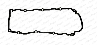 Прокладка, крышка головки цилиндра PAYEN JM5099