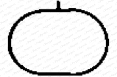 Прокладка, впускной коллектор PAYEN JD5835