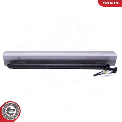 Электромотор, задняя дверь ESEN SKV 52SKV968