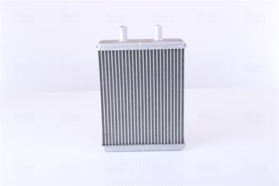 Siltummainis, Salona apsilde NISSENS 71817