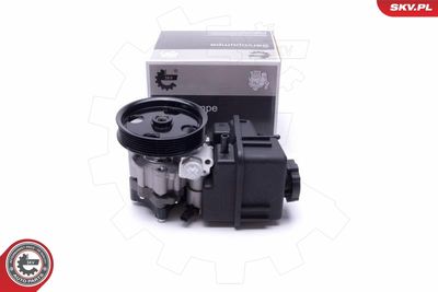 Hidrosūknis, Stūres iekārta ESEN SKV 10SKV307