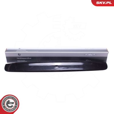 Moldings/aizsarguzlika ESEN SKV 96SKV823