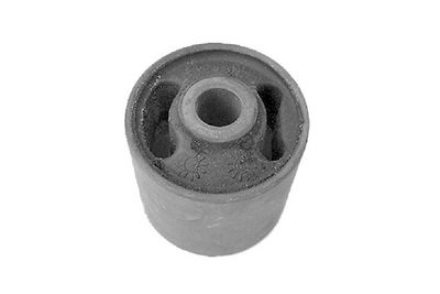 Piekare, Šķērssvira TEDGUM 00163198