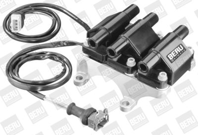 Aizdedzes spole BorgWarner (BERU) ZSE008