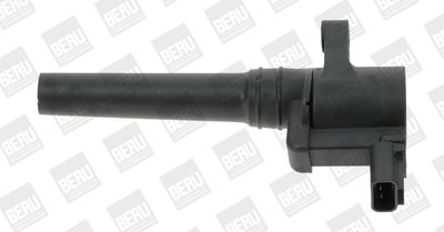 Aizdedzes spole BorgWarner (BERU) ZS388