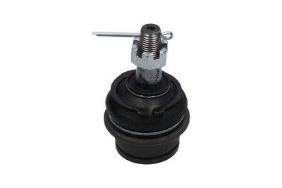 Balst-/Virzošais šarnīrs KAVO PARTS SBJ-6555