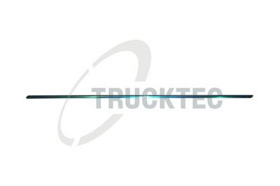 Apdare-/Aizsarguzlika, Durvis TRUCKTEC AUTOMOTIVE 02.52.130