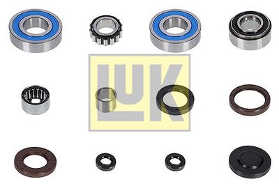 Remkomplekts, Pārnesumkārba Schaeffler LuK 462022210