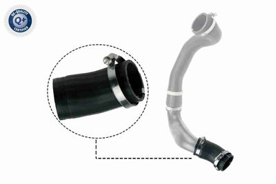 Pūtes sistēmas gaisa caurule VAICO V48-0186