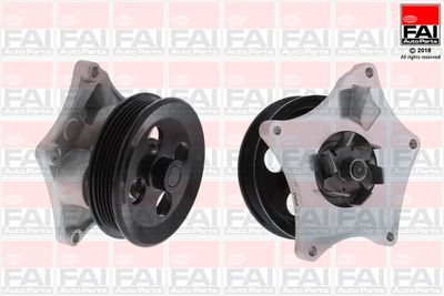 Водяной насос, охлаждение двигателя FAI AutoParts WP6666