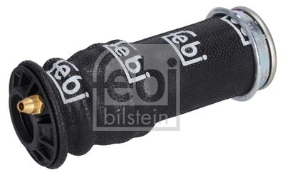 Pneimoatsperes spilvens, Kabīnes atsperojums FEBI BILSTEIN 102558