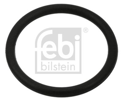 Blīvgredzens, Eļļas noliešanas korķis FEBI BILSTEIN 100998