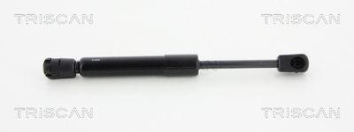 Gāzes atspere, Bagāžas/Kravas nodalījuma vāks TRISCAN 871023223