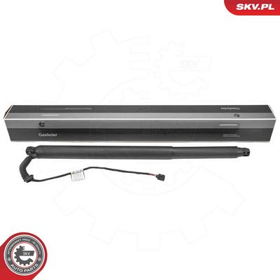 Электромотор, задняя дверь ESEN SKV 52SKV234