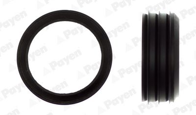 Прокладка, корпус впускного коллектора PAYEN JD6006