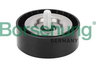 Parazīt-/Vadrullītis, Ķīļrievu siksna Borsehung B12576