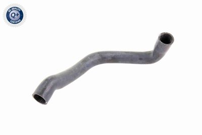 Шланг радиатора VAICO V301618