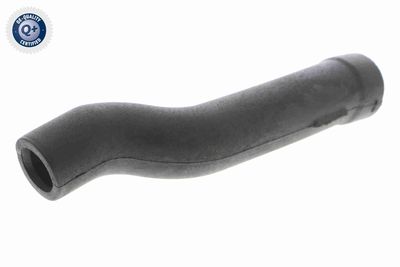 Шланг, вентиляция картера VAICO V30-0798