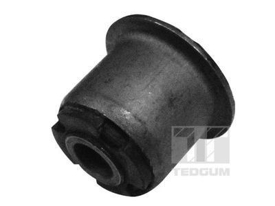 Piekare, Šķērssvira TEDGUM 00515992