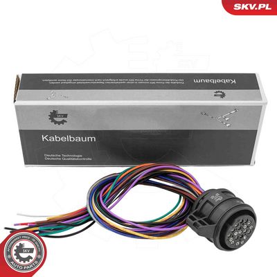Pārslēdzējvārsts, Automātiskā pārnesumkārba ESEN SKV 53SKV028