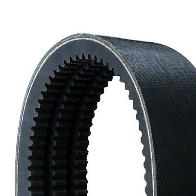 Daudzķīļu siksna CONTINENTAL CTAM 3/AVX13X2360