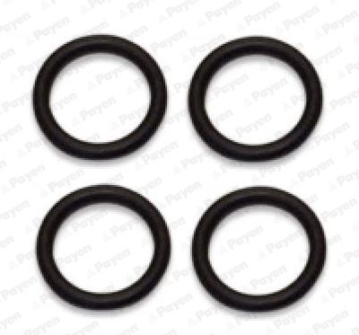 Комплект прокладок, впускной коллектор PAYEN HA5029