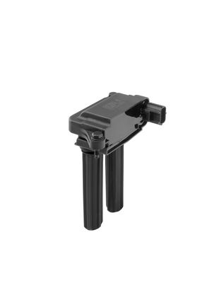 Aizdedzes spole BorgWarner (BERU) ZS607