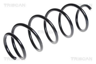 Balstiekārtas atspere TRISCAN 875 015 111