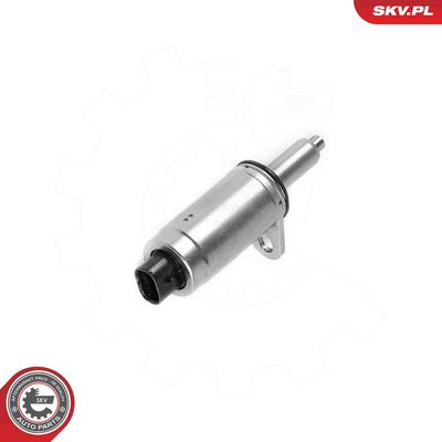 Регулирующий клапан, выставление распределительного вала ESEN SKV 39SKV098